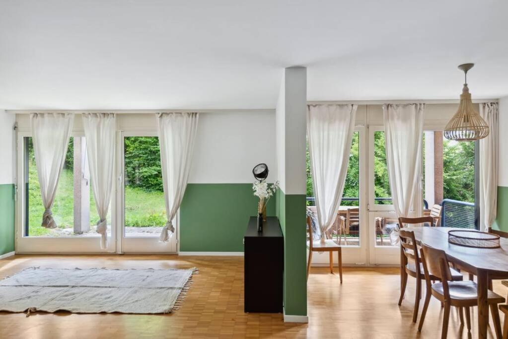 Spacious Apartment In The Heart Of Zurich Zltwg68 Экстерьер фото